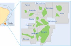 The Garoupa Cluster in the Campos basin comprises the Anequim, Bagre, Cherne, Congro, Corvina, Malhado, Namorado, Parati, Garoupa, Garoupinha and Viola fields.