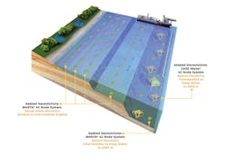 The company uses ocean bottom node technologies to collect geophysical data on the seabed for oil and gas companies during field development and production phases.