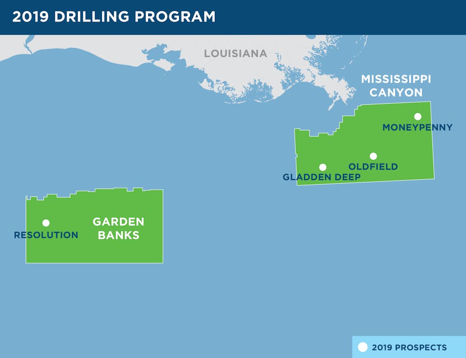 Kosmos Energy&rsquo;s 2019 drilling program included targets in the Resolution, Gladden Deep, Oldfield and Moneypenny prospects in the deepwater Gulf of Mexico.