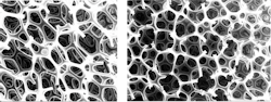 Micro pictures of the open cell matrix polymer. Micro pictures of the open cell matrix polymer.