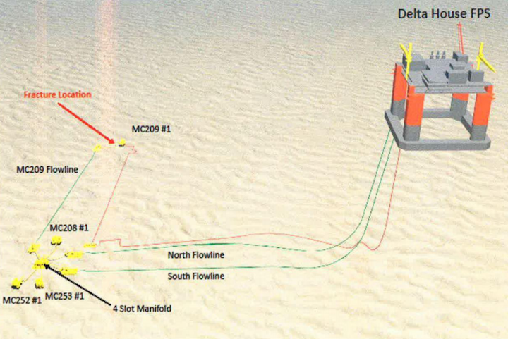 Neidermeyer subsea field overview.