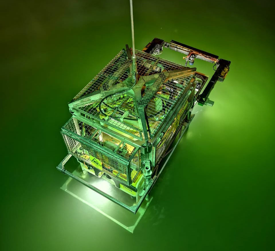 Leopard in tether management system.