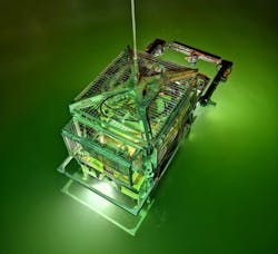 Leopard in tether management system. Leopard in tether management system.