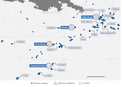 The company's Gulf of Mexico assets. The company's Gulf of Mexico assets.