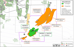 Shallow plays in the Thali block offshore Cameroon.