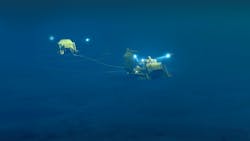 Illustration of Ærfugl Phase 2. Illustration of Ærfugl Phase 2.