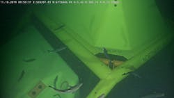 The Northern Lights template on the seabed. The Northern Lights template on the seabed.