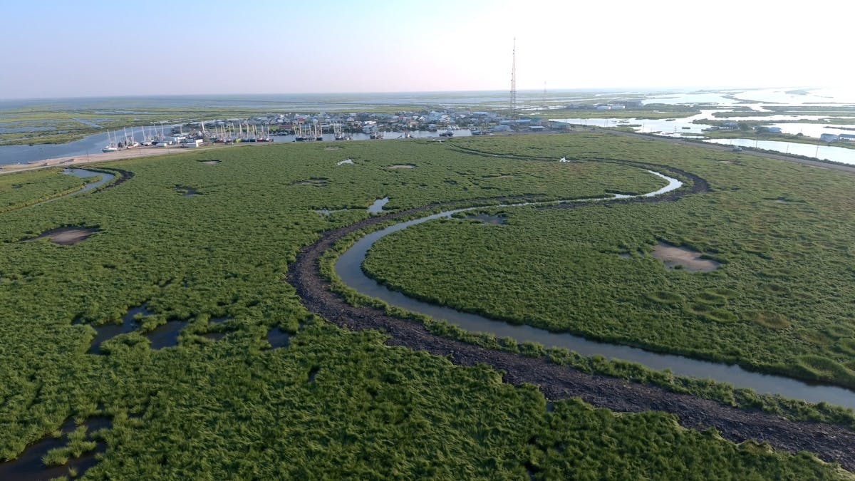 The proposed future Coastal Wetlands Park is a result of a mitigation effort where dredged sediment from the Slip D development was placed in an open water area.