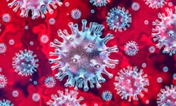 Covid 19 5e8768d4e064e Covid 19 5e8768d4e064e