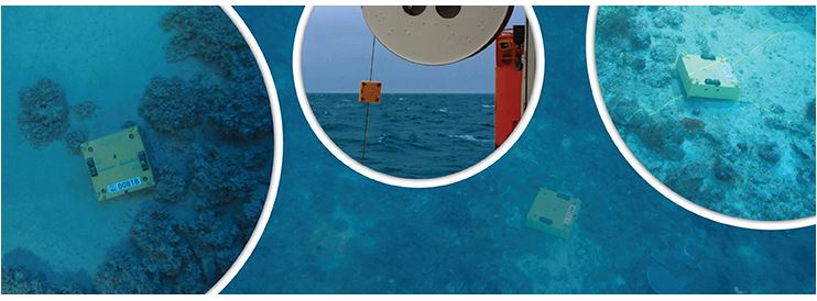 Manta ocean bottom nodes.