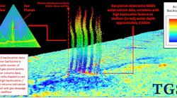 Tgs Nigeria Gas Plume
