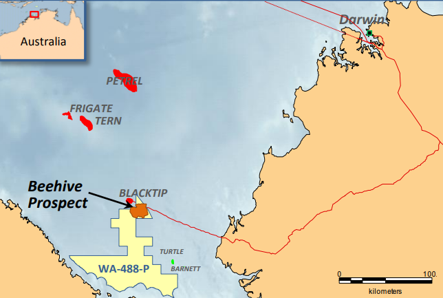 Beehive124 5ed12208a3a87