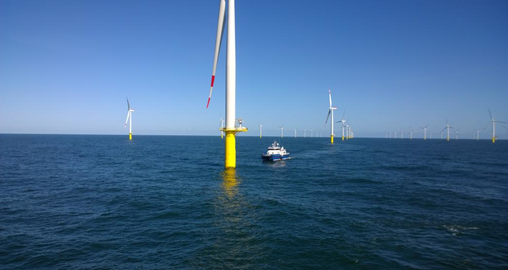 Carbon Trust 5eeb9cdc467bf