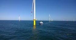 Carbon Trust 5eeb9cdc467bf Carbon Trust 5eeb9cdc467bf