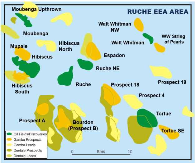 Ruche Bwenergy 5f637c0a76ee3