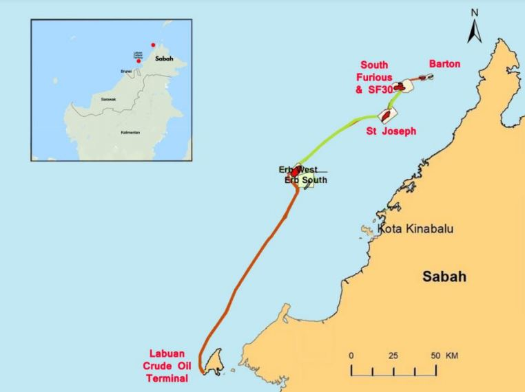 Hibiscus112 5fa044dd65e70