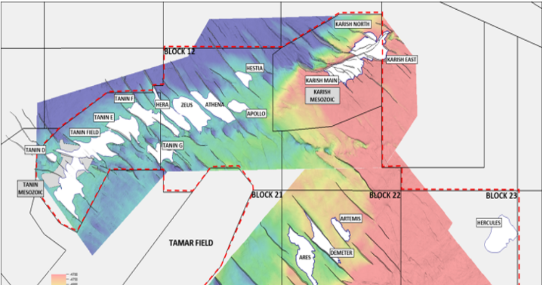 Blocks 12, 21, 23, and 31 offshore Israel.