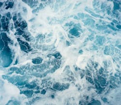 Pandion11 5fee042953641 Pandion11 5fee042953641