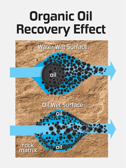 Organic oil recovery system increases production on North Sea platform