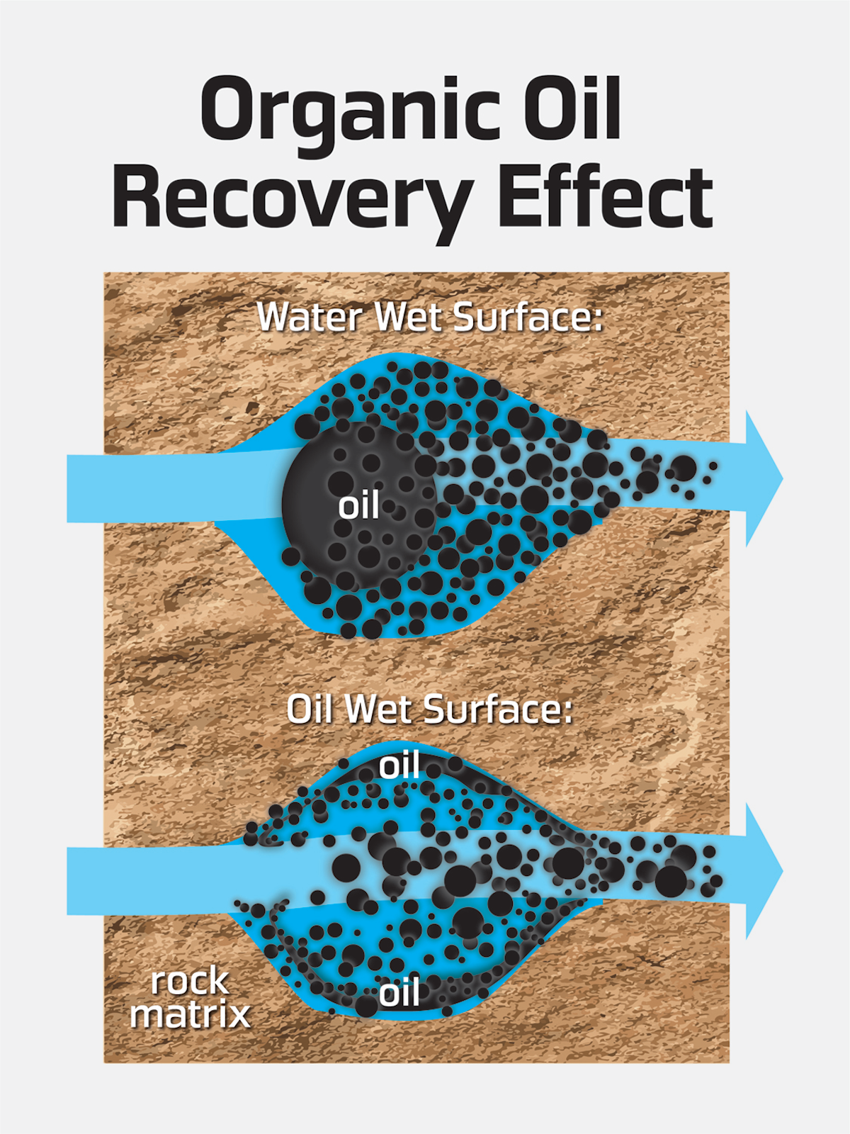 Organic oil recovery system increases production on North Sea platform