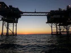 Coral Field 60393e5162772 Coral Field 60393e5162772