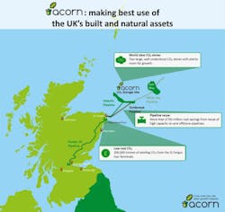 Acorn Pale Blue Dot 6019861c1e285 Acorn Pale Blue Dot 6019861c1e285