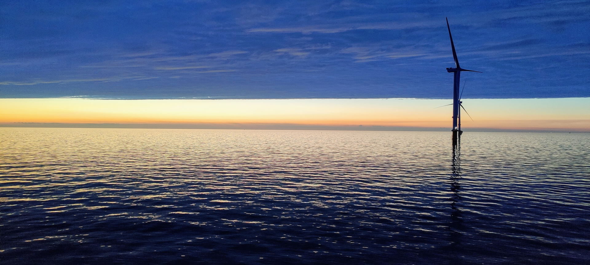 The Triton Knoll offshore wind farm.