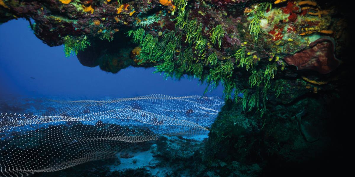 Fugro Undersea Data 604a4f6a234b2