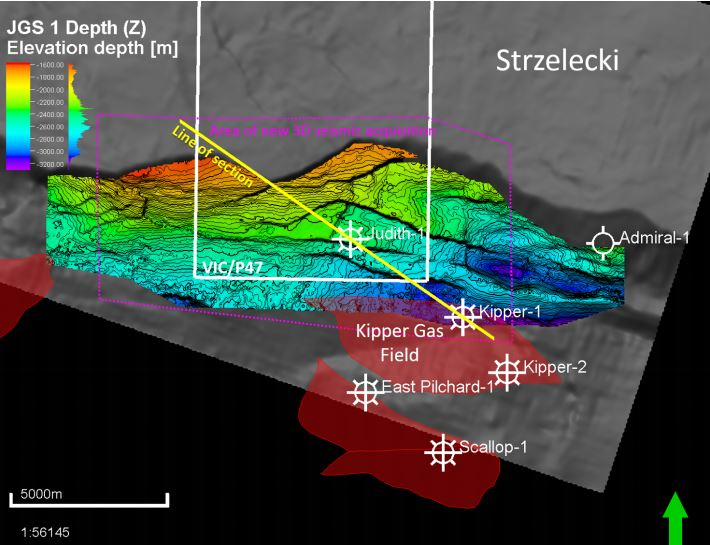 Map showing Vic/P47 exploration permit boundary (White line), EMP licensed area of new seismic acquisition (Purple line) and Line of seismic section (Yellow line).