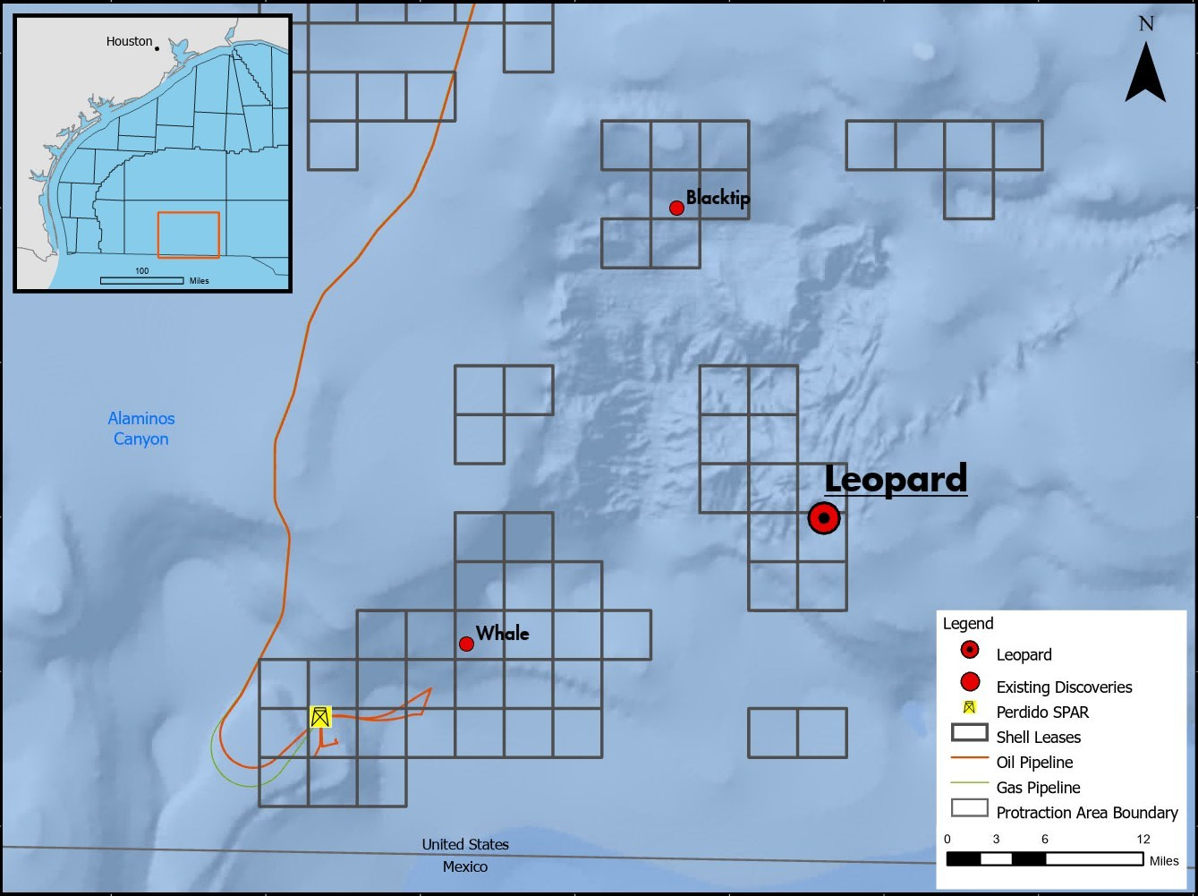Location of the Leopard oil discovery in Alaminos Canyon block 691.