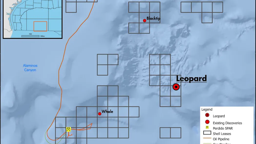 Shell Makes Deepwater Discovery At Leopard Prospect Offshore