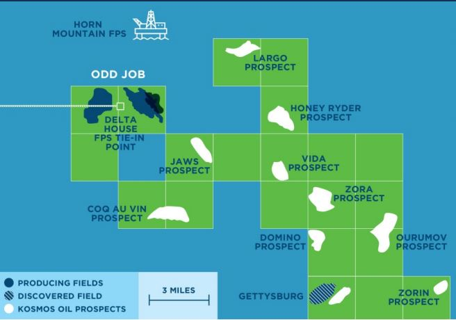 Zora is a Miocene target in the same play as nearby analogous fields Odd Job, Horn Mountain, and Marmalard.