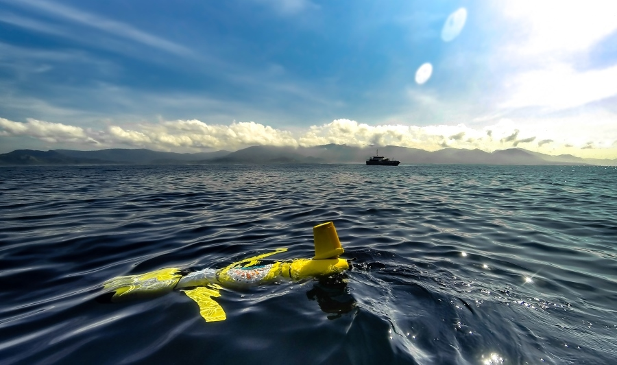 Blue Ocean Monitoring 61