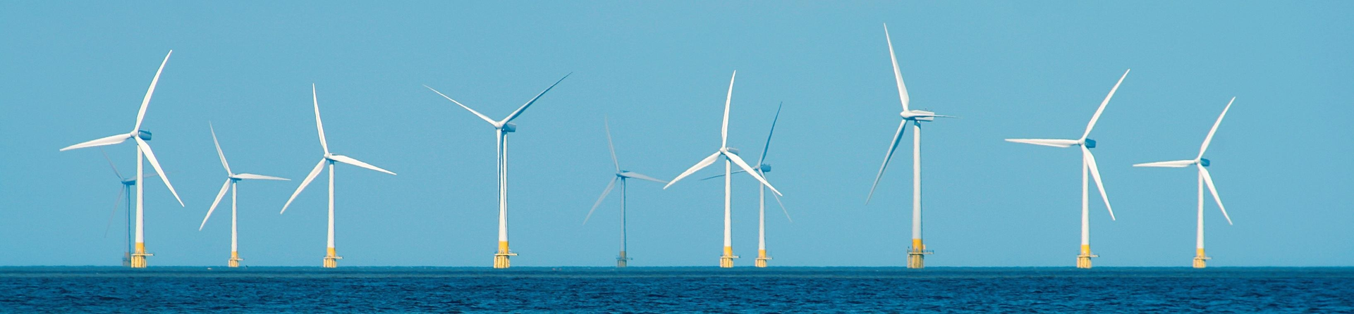 Boem729 6102fea212f4b