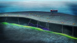 Ærfugl layout. Ærfugl layout.