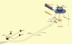 Hibiscus826 6127e3207ad60 Hibiscus826 6127e3207ad60