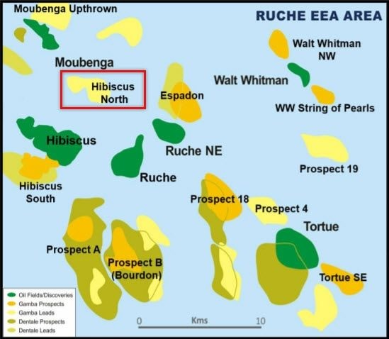 Hibiscus North 6127ab661dfb7