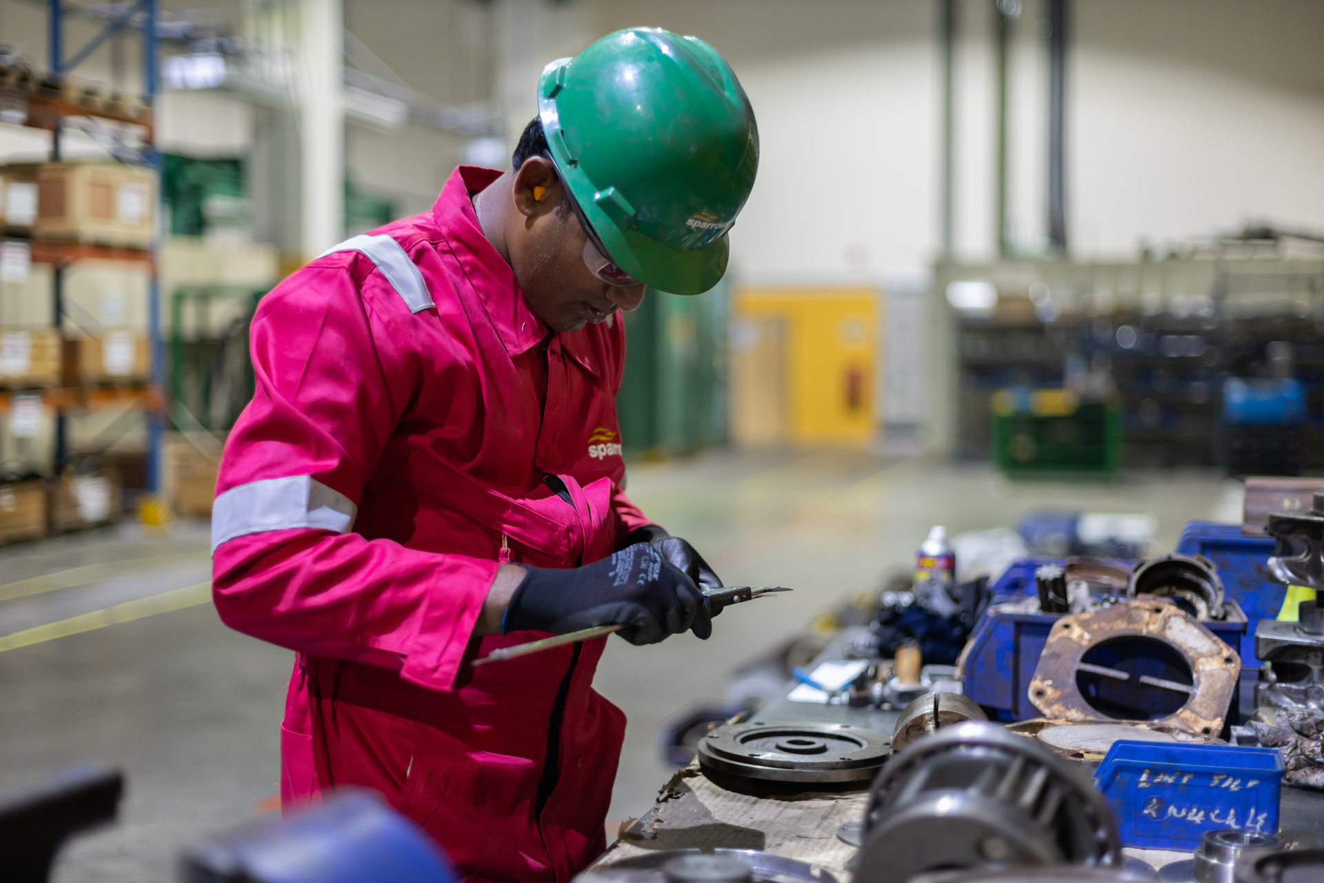 Sparrows Technican At Work 618dc53cc718d