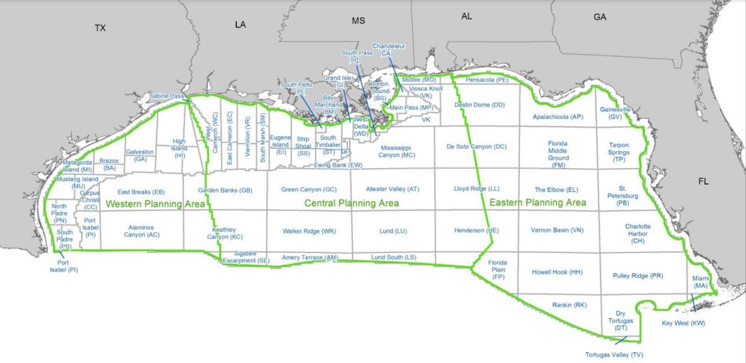 Gulf of Mexico lease sale garners more than 191 million in high bids