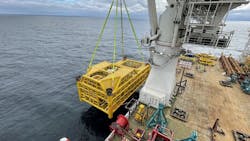 Seagull Neptune Energy 61a116343045c Seagull Neptune Energy 61a116343045c