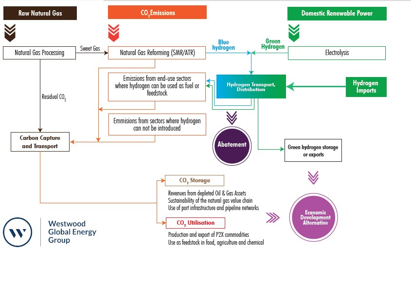 Hydrogen commercialization routes to meet objectives of domestic climate commitment and/or stimulating economic development.