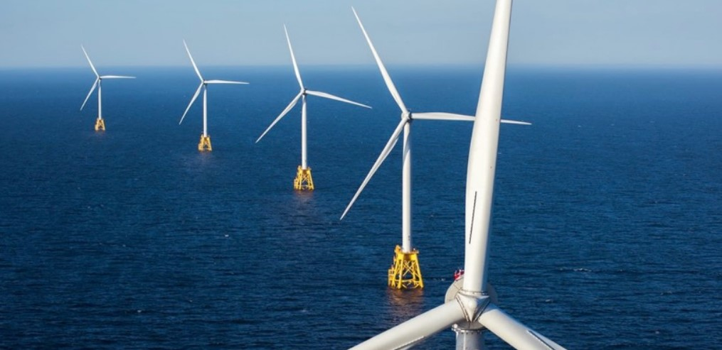 New York Bight Image 621bb4f8128d4