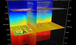 The Reveal software. The Reveal software.