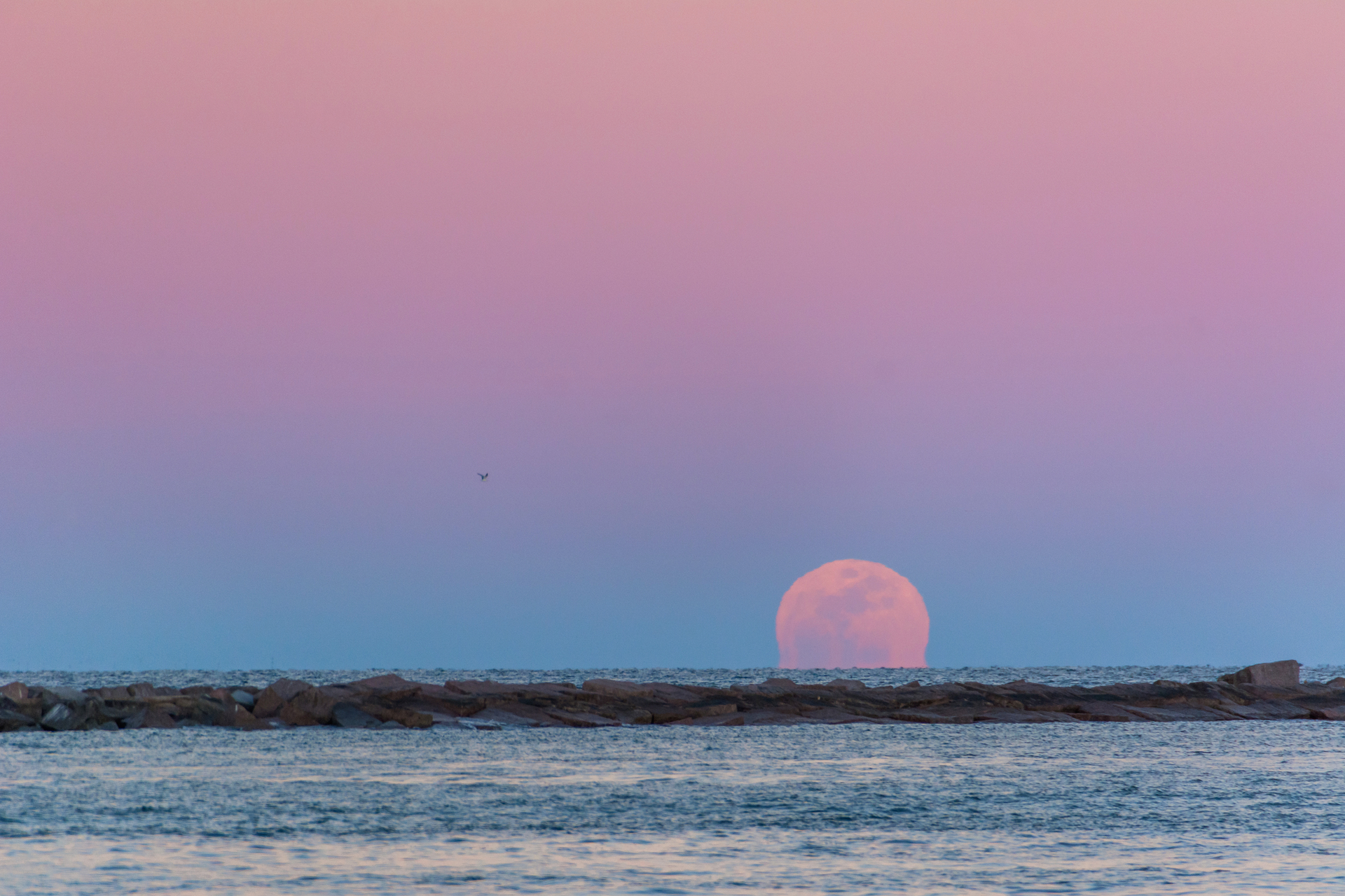 Gulf Coast Jetty Dreamstime M 123775349