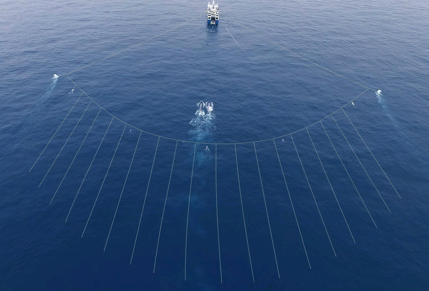 P Cable Ncs 622d4cb9c3374