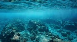 Seabed Dreamstime M 87584717 Seabed Dreamstime M 87584717