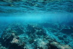 Seabed Dreamstime M 87584717 6243899894efd Seabed Dreamstime M 87584717 6243899894efd