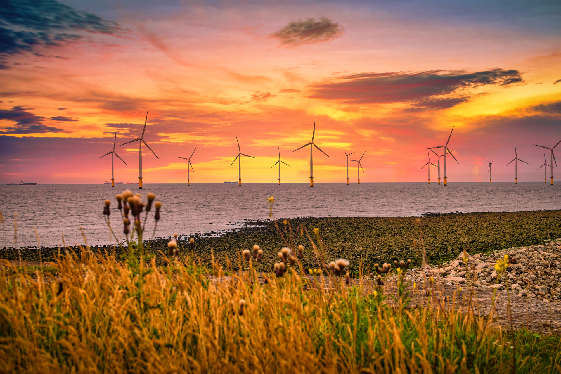 Offshore Wind Bucolic Dreamstime M 176473853 624dbf9054ea0