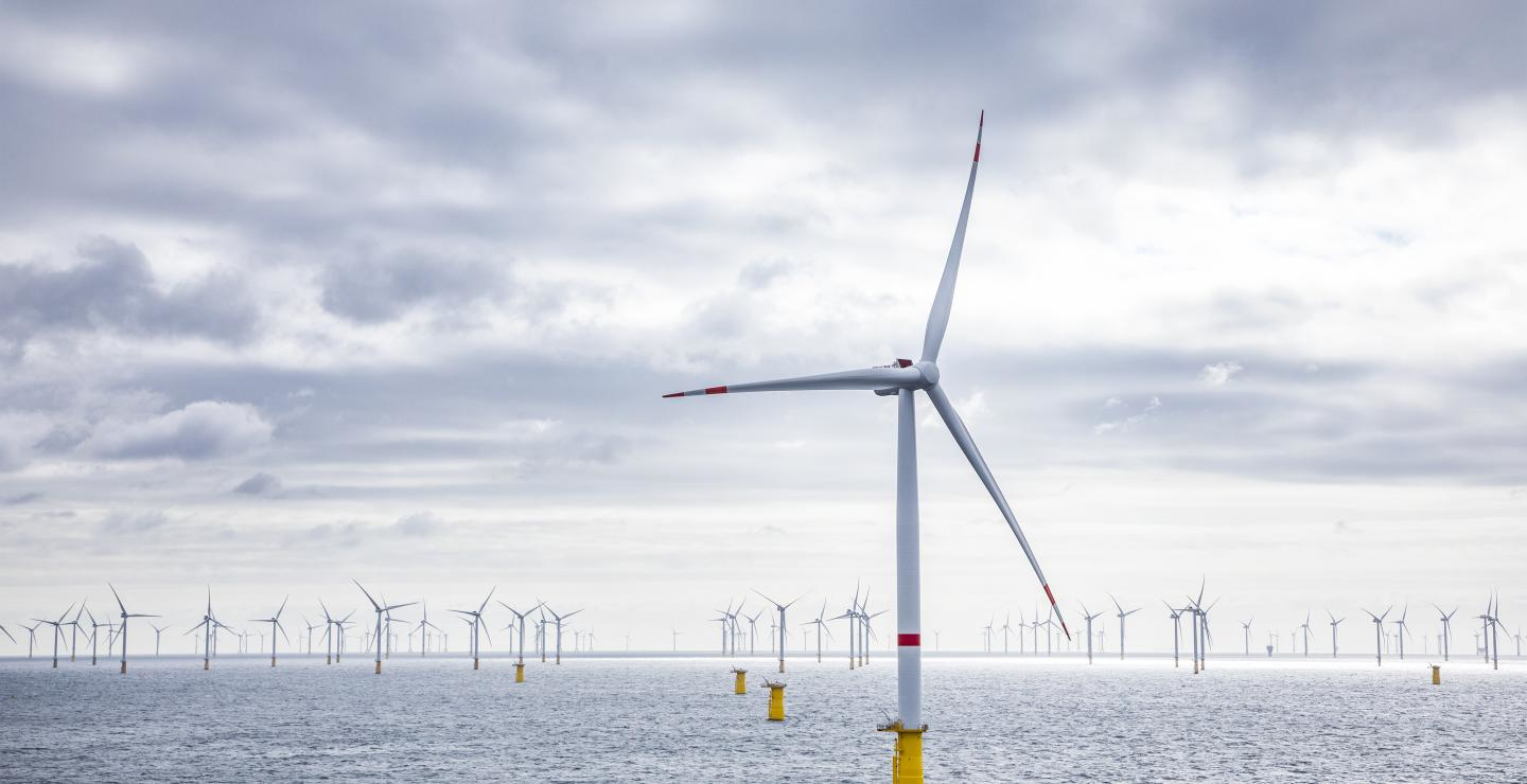 Deme 25 033 025 6282db7f9d853