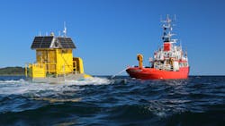 Celticsp42 Celticsp42